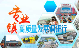 專業(yè)鎮(zhèn)高質(zhì)量發(fā)展調(diào)研行